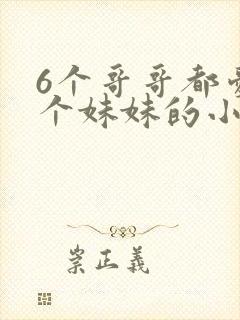 6个哥哥都爱一个妹妹的小说叫什么