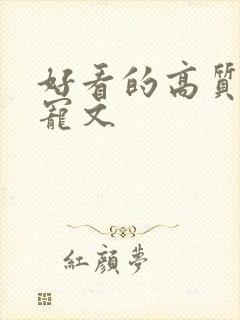 好看的高质量甜宠文