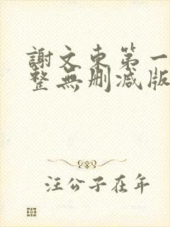 谢文东第一季完整无删减版封面