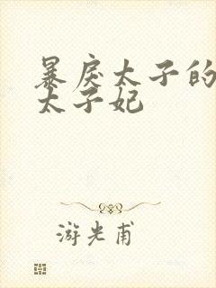 暴戾太子的笨蛋太子妃