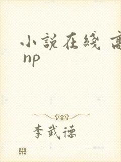 小说在线 高h np