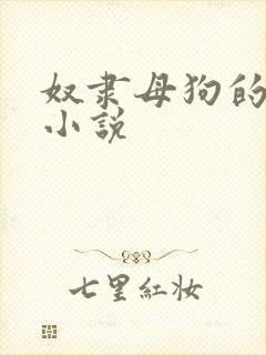奴隶母狗的调教小说
