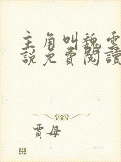 主角叫魏云的小说免费阅读封面