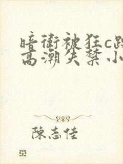 暗卫被狂c躁到高潮失禁小说封面