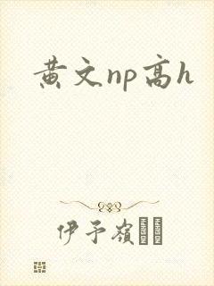 黄文np高h封面
