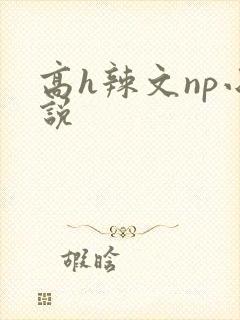 高h辣文np小说