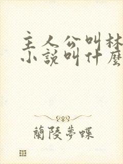 主人公叫林烨的小说叫什么名字