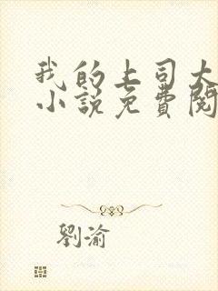 我的上司太迷人小说免费阅读