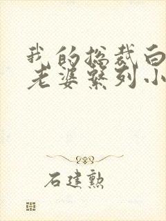 我的总裁白富美老婆系列小说