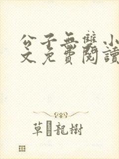 公子无双小说全文免费阅读
