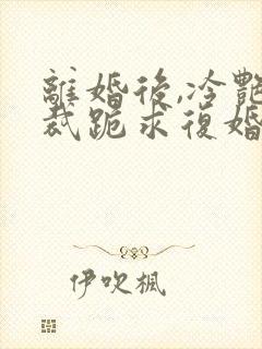 离婚后,冷艳总裁跪求复婚免费在线阅读