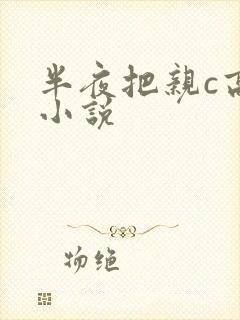 半夜把亲c高潮小说