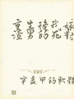 重生后我嫁给了渣男的死对头下载封面