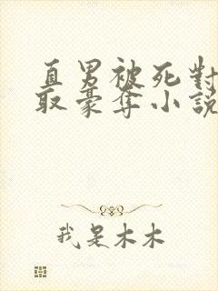 直男被死对头强取豪夺小说