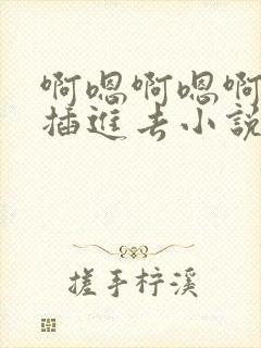 啊嗯啊嗯啊嗯啊插进去小说