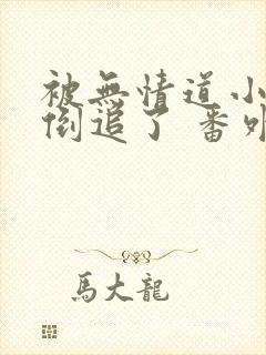 被无情道小师弟倒追了 番外封面