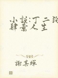 小说:丁二狗的肆意人生