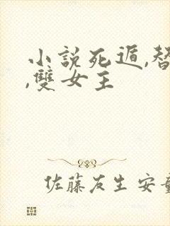 小说死遁,替身,双女主