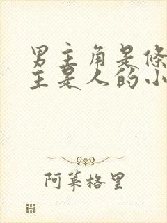 男主角是条龙女主是人的小说