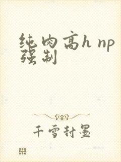 纯肉高h np强制