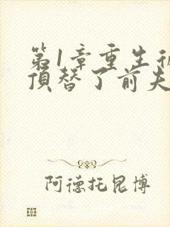 第1章重生后我顶替了前夫白月光封面