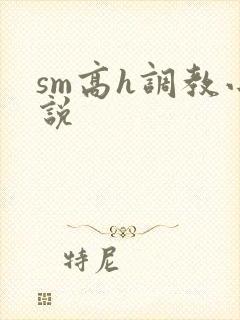 sm高h调教小说