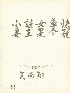 小说女尊快穿之妻主是个宠夫狂