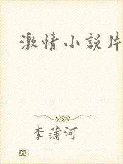 激情小说片段h封面