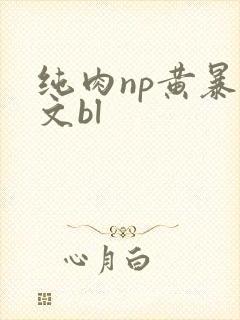 纯肉np黄暴h文bl