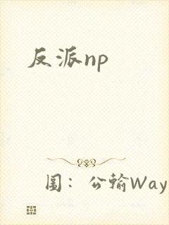 反派np