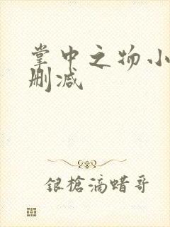 掌中之物小说未删减