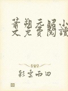 萧朔元昭小说全文免费阅读