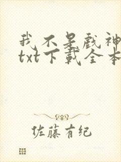 我不是戏神小说txt下载全本封面