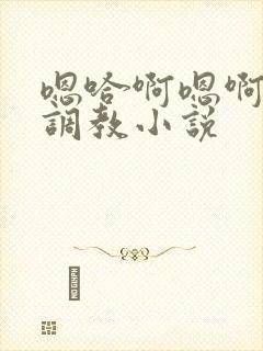 嗯哈啊嗯啊不要调教小说