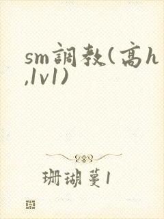 sm调教(高h,1v1)