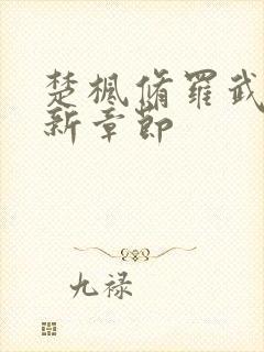 楚枫修罗武神全新章节