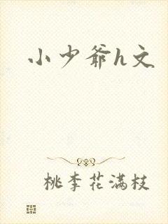 小少爷h文