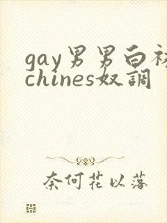 gay男男白袜chines奴调封面