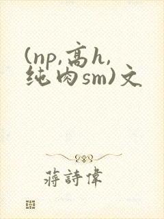 (np,高h,纯肉sm)文