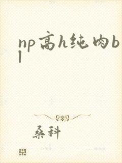 np高h纯肉bl封面