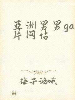 亚洲男男gay片网站