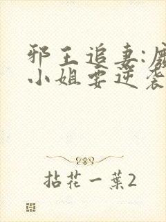 邪王追妻:废柴小姐要逆袭小说txt封面