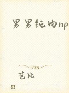 男男纯肉np文