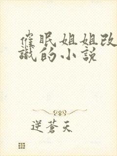 催眠姐姐改变常识的小说封面