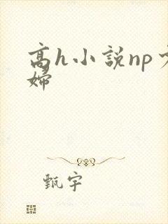 高h小说np少妇