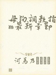 母狗调教指南sm最新章节