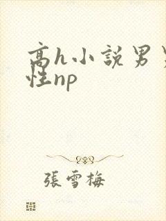 高h小说男男双性np