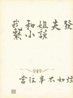 我和姐夫发生关系小说