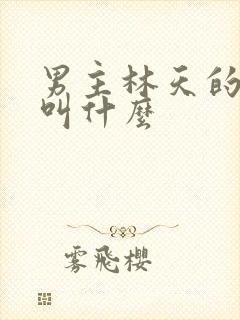 男主林天的小说叫什么