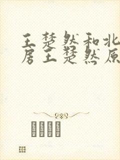 王楚然和北电门房王楚然原著小说叫